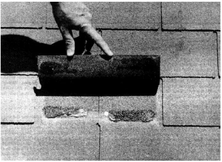 Figure 22.  Wind-resistant asphalt strip shingles with factory applied spots of adhesive.