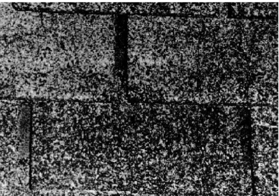 Figure 24.  Difference in weathering of ashphalt shingles on southern and eastern exposures.