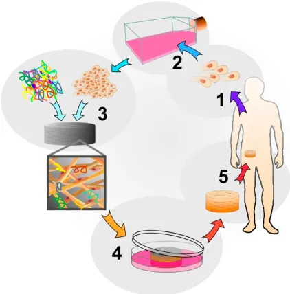 Figure 2.1: Tissue Engineering approach representation. (http://biomed.brown.edu).