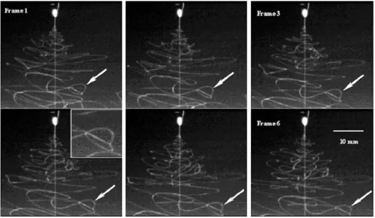 Figure 1.9Complicated trajectories of the jet in the whipping instability region duringthe electrospinning of PCL in 15 wt% acetone solution (applied voltage is 5 kV and gapdistance is 14 cm)