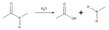 Figure 3.1: Hydrolytic degradation of amide groups in the polyamidebackbone.