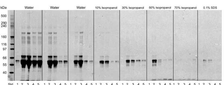 Figure 4.21: Binding strength analysis of (Std.) HImark Standard, (1)TCP control, (2) Random PA6, (3) Aligned PA6, (4) Aligned PA6/CNTand (5) Random PA6/CNT.