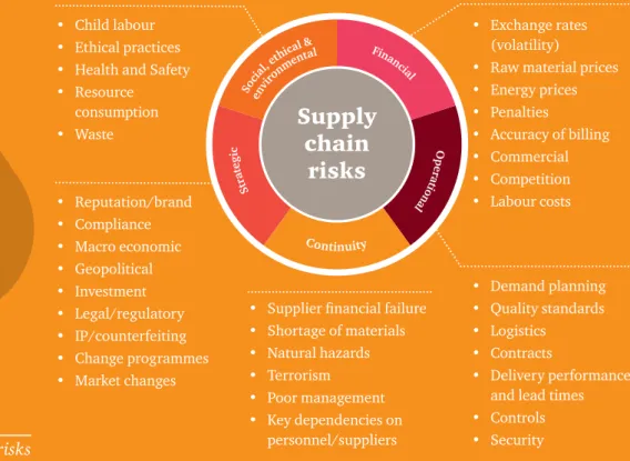 Figure 1.1: Possible supply chain risks
