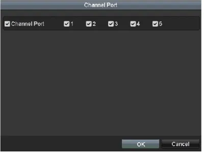 Figure 2. 21 Custom Adding IP Camera Interface 