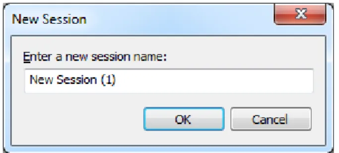 Figure 6: Xstart New Session Dialog Box  3.  Enter a new session name, and click OK. 