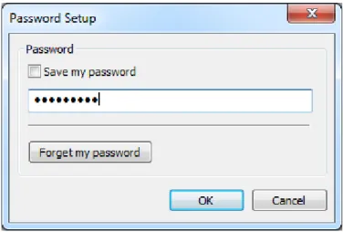 Figure 7: Password Setup Dialog Box 