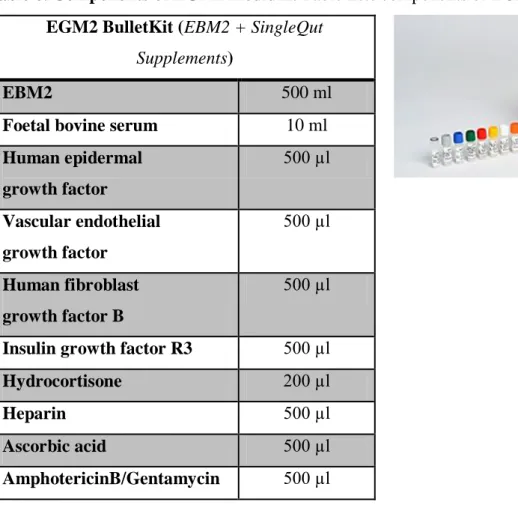Table 6. Components of EGM2 medium. Table lists components of EGM2 medium 
