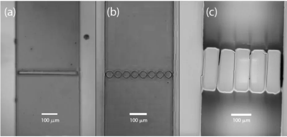 Fig. 2: Schematic of experimental setup for the top-view flow visualization. 
