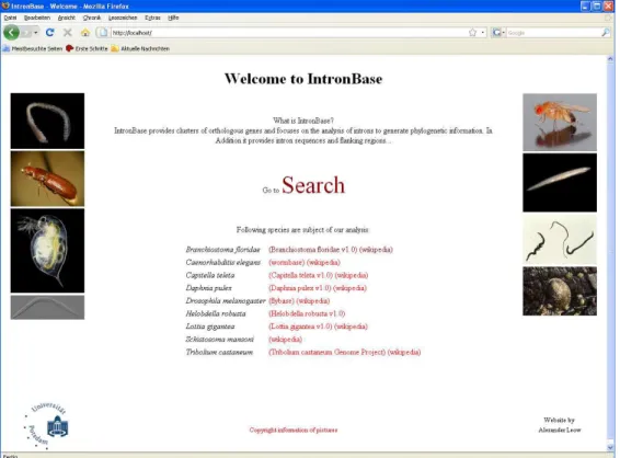 Figure 12: IntronBase Congratulations, you are ready to explore IntronBase!