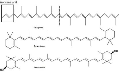 Figure 1.1: Representative structures of carotenoids. Carotenes, which do not contain oxygen 
