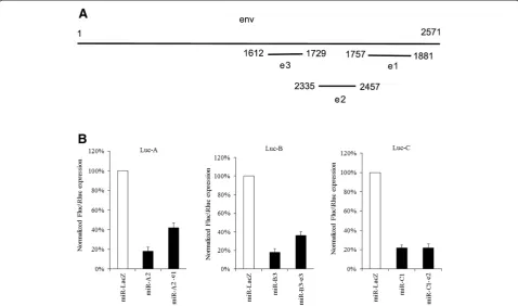 Figure 4 Screening of the combinations of the basic structural elements. The miRNA complexes were co-transfected with luciferasereporters in 293FT cells