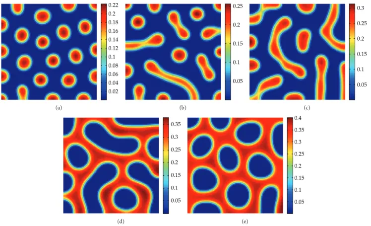 Figure 1: Five typical Turing’s patterns of 