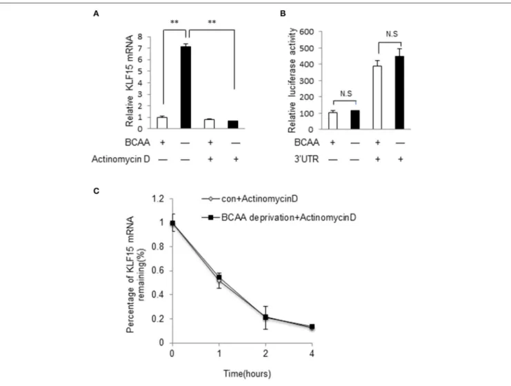 Figure S3). Both LY294002 and Wortmannin abolished BCAA-starvation-induced KLF15 expression (Figure 4B).