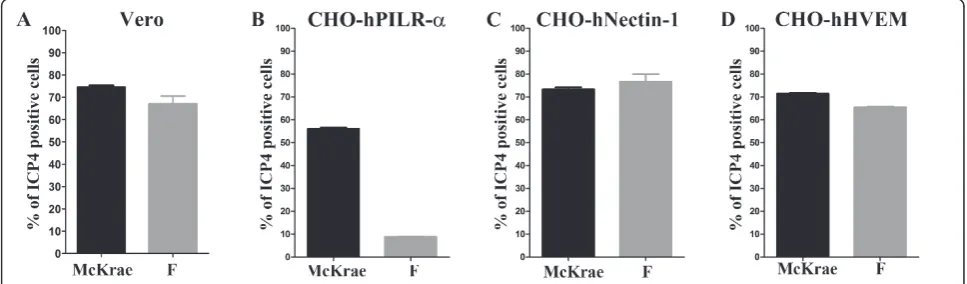 Figure 1 Comparison of HSV-1(F) and McKrae entry efficiencies. (A) Entry into Vero cells