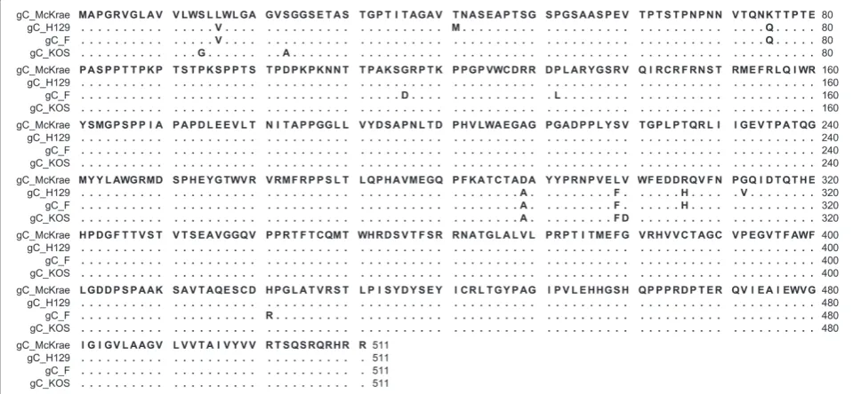 Table 2 HSV-1 (F) and McKrae gC Nucleotide and Aminoacid Differences