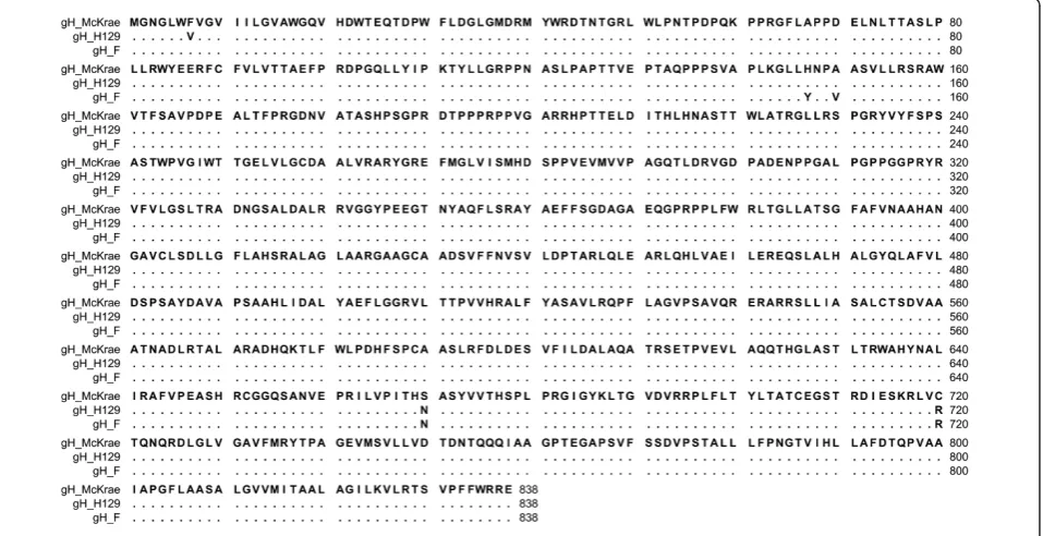 Table 3 HSV-1 (F) and McKrae gH Nucleotide and Aminoacid Differences
