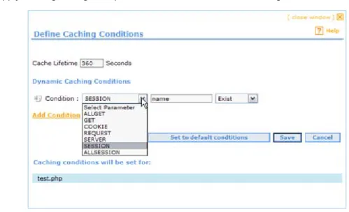 Figure 16:  Define Caching Conditions 