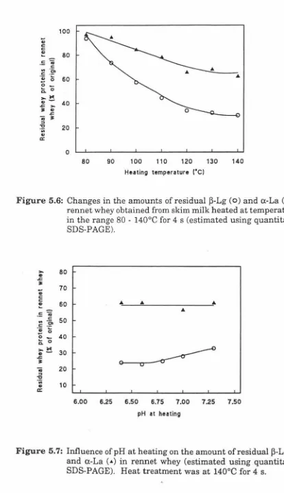 Figure 5.7: Influence of pH at heating on the amount of residual 13-Lg (o) and a-La (•) in rennet whey (estimated using quantitative SDS-PAGE)