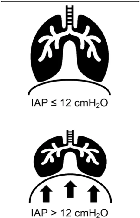 Fig. 2 Effect of intra-abdominal pressure on diaphragmatic dome. IAP intra-abdominal pressure