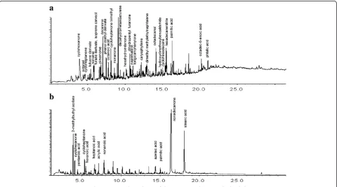 Figure 6 EDX elemental analysis performed on different points of the cross-section of the support layer.