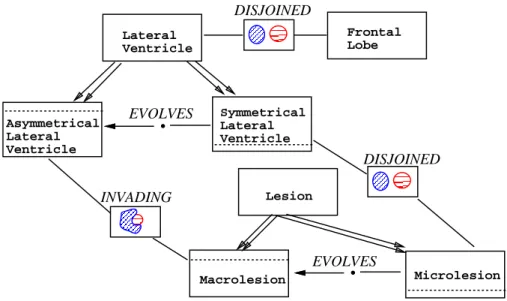 Figure 6-8 The temporal evolutionary and spatial relationships for the growth of a brain lesion