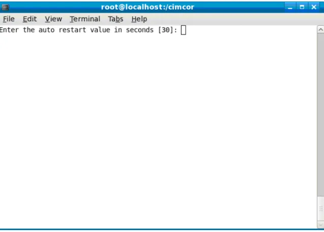 Figure 88 – Set the auto restart value  The Installation menu will appear again. 