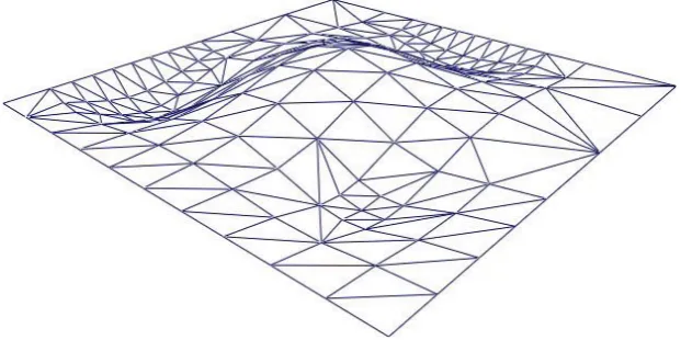 Figure 13: Tessellated NURBS Patch - Wire Frame 