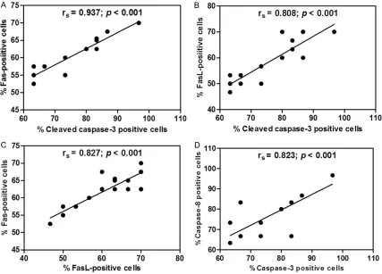Figure 6. The graphs illustrate positive correlations in the lung tissues of the PE group (n = 18) using Spearman’s rank correlation test