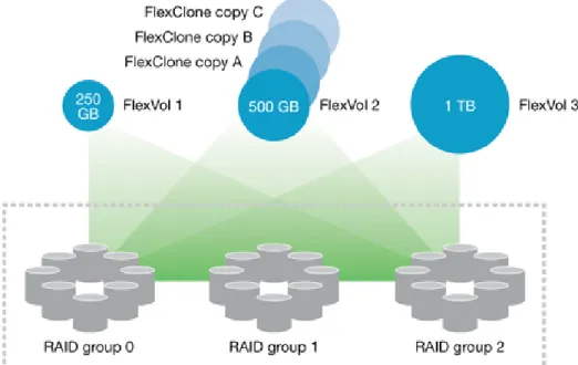Figure 2) Using FlexClone to create virtual test and development copies.