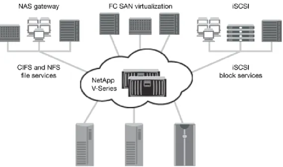 Figure 5) Using V-Series with non NetApp storage.