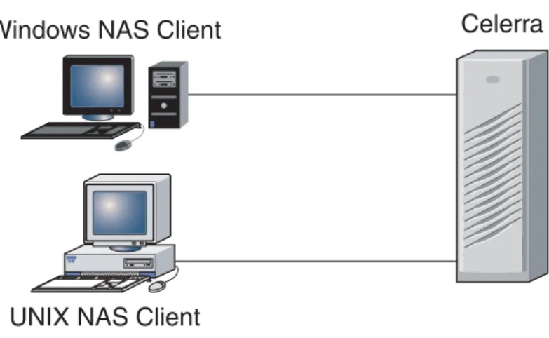 Figure 1 EMC Celerra provides file sharing for clients