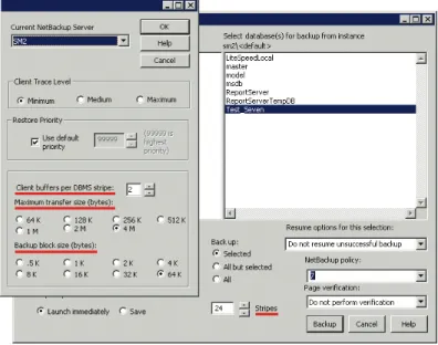 Figure 18: SQL backup parameters – NetBackup 6.5.3. Third-party backup  applications may allow the use of keyword parameters similar to native  Microsoft SQL Server backup tools