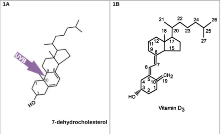 Figure 1A: Ultra violet-vitamin D3 is formed. Figure 1B: The structure of vitamin D radiation cleaves 7-dehydrocholesterol between carbon 9 and 10, forming previtamin D3