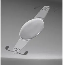 Figure 14-2:  CrystaLens TM  accommodating lens implant has specially hinged haptics that allow for forward and backward lens  movement  under  the  action  of  the  ciliary  muscles.