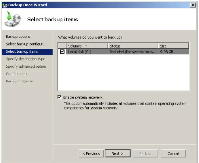 Figure 1: Configuring the volumes to back up in the Backup Once Wizard. 