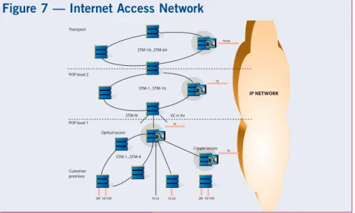 Figure 7 - Internet Acess Network