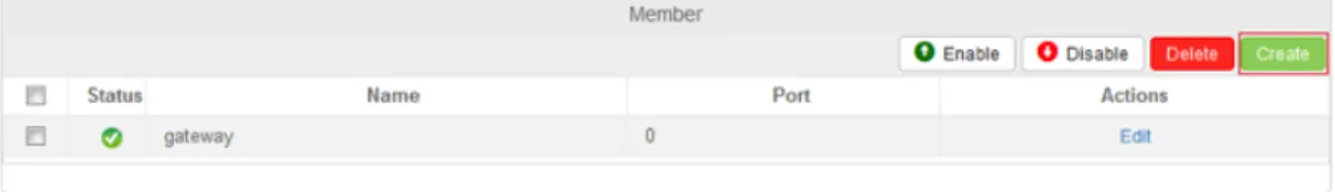 Figure 9: Server member configuration  Virtual server configuration: