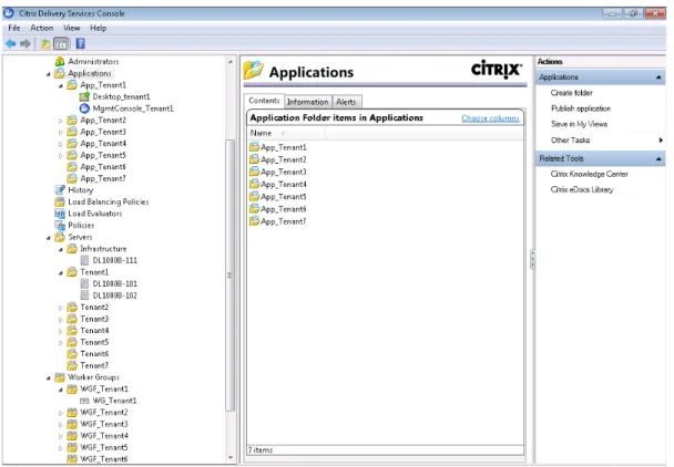 Figure 11 - Citrix Delivery Services Console