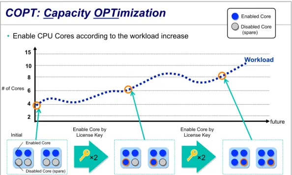 Figure 2: An Overview of NEC’s COPT Feature