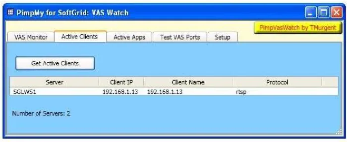 Figure 3 – Active Clients Display 