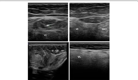 Table 2 Classification of patients according to calf state and its relation to clinical and ultrasound diagnosis