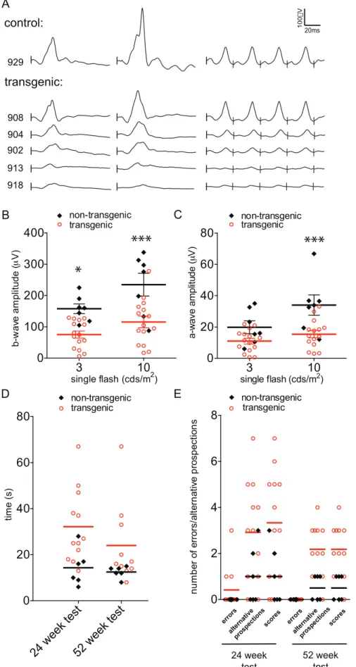 Figure 3. Range of visual function in GUCY2D E837D/R838S transgenic pigs. (A) Traces of photopic electroretinogram recordings (ERG) at 11 weeks are shown for one representative control and several transgenic animals
