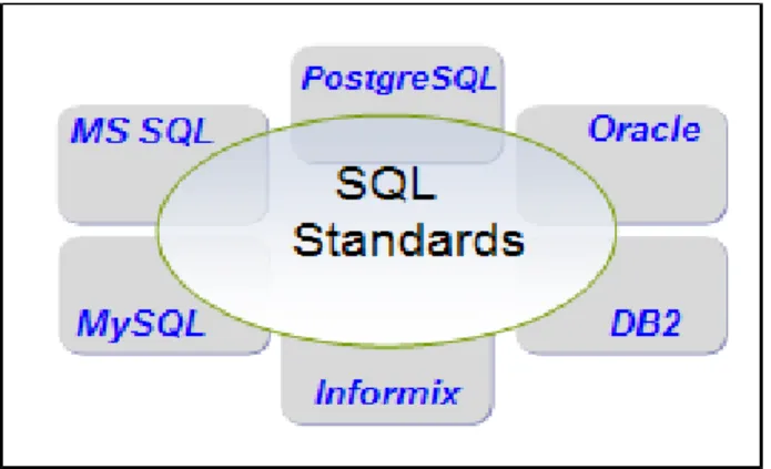 Figure  1  shows  a  diagram  that  symbolizes  how  the  SQL  standards are only a part of the functionality supported by the  different RDBMS vendors