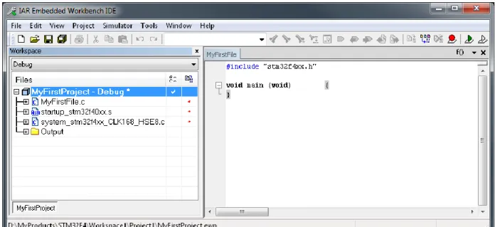 Figure 3.7: A fully defined minimal project within a workspace 