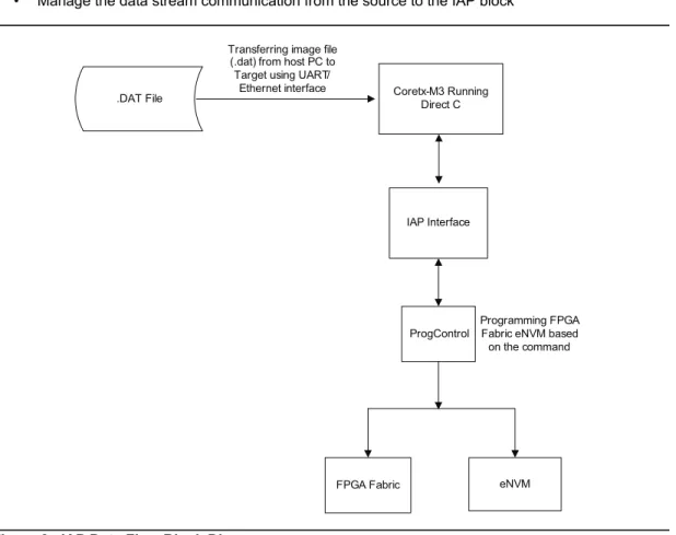 Figure 2 • IAP Data Flow Block Diagram