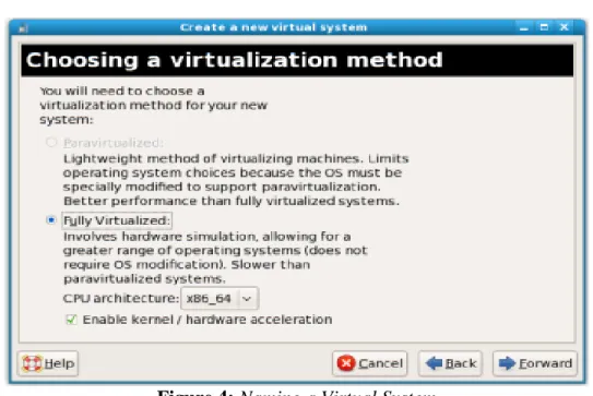 Figure 4: Naming a Virtual System 