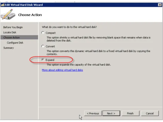 Figure 7. Expanding a VHD device 