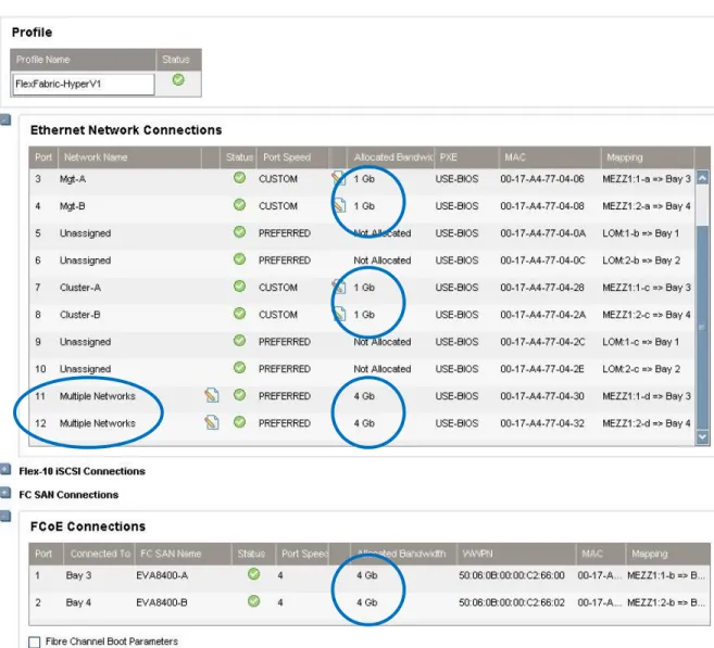 Figure 9 – Hyper-V host server profile details 