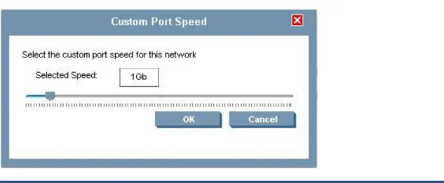 Figure 10 – Setting the custom network bandwidth allocation 