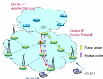Figure 1Cellular IP access network 